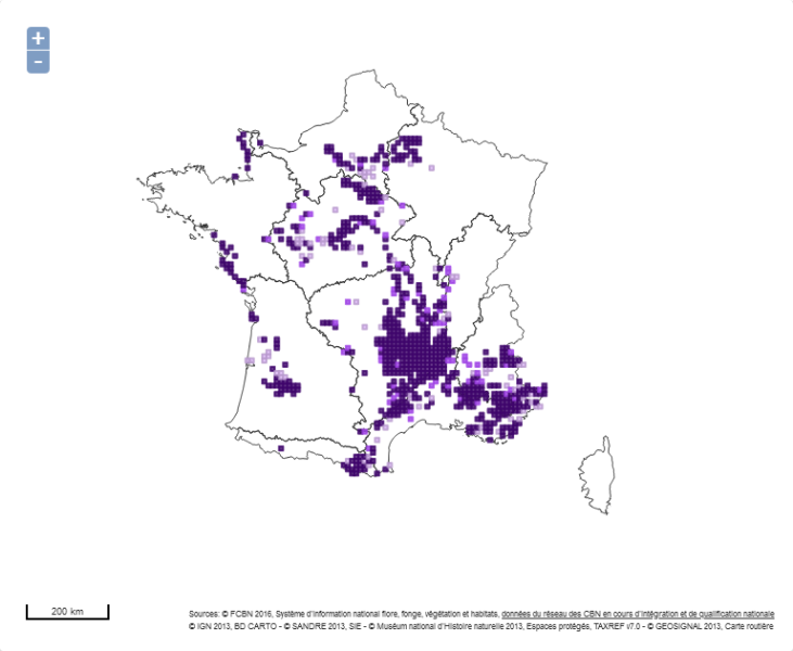 Fichier:Screenshot 2022-12-13 at 15-44-48 SI Observation Flore - Armeria arenaria (Pers.) Schult. 1820.png
