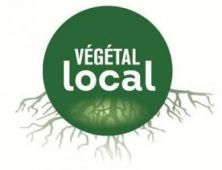 Logo Végétal Local.jpg